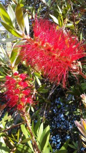 20161101_142826_Burst01