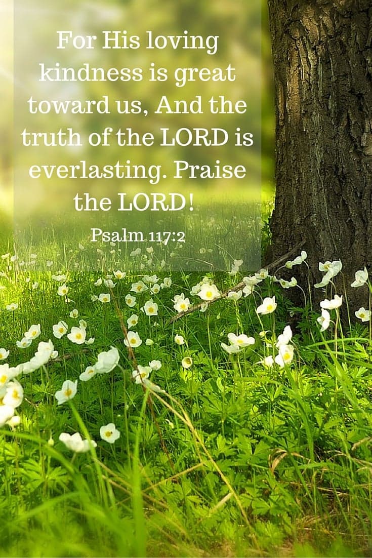 received_648432695518453