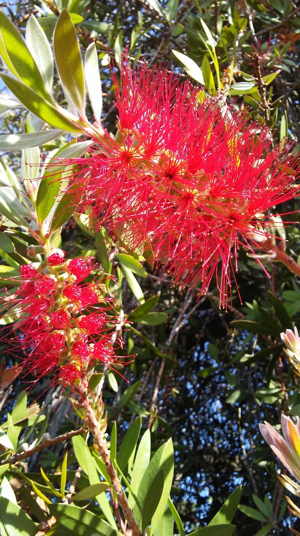 20161101_142826_Burst01